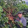 Café Don Luis